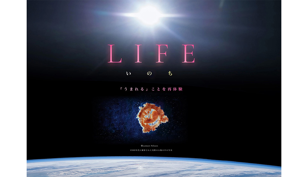 LIFEいのち