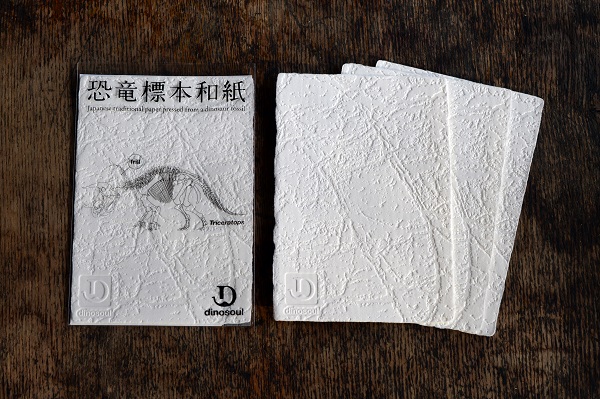 恐竜標本和紙